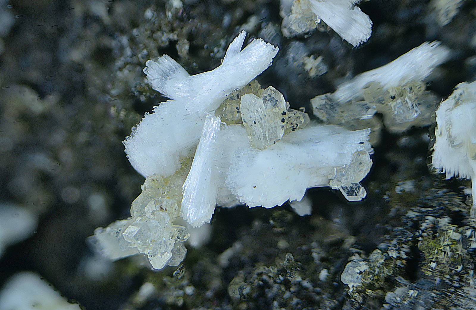 Natrolita y Phillipsita
Campo de visión de 6 mm.
(Autor: Antonio Carmona)