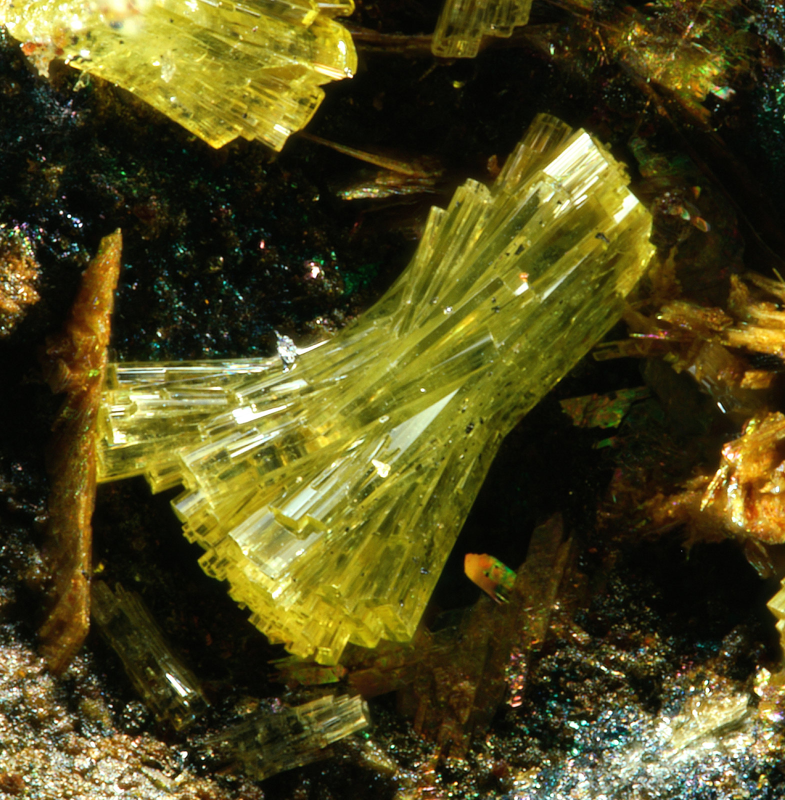 Nealita
Campo de visión 3,8 mm.
(Autor: Antonio P. López)
