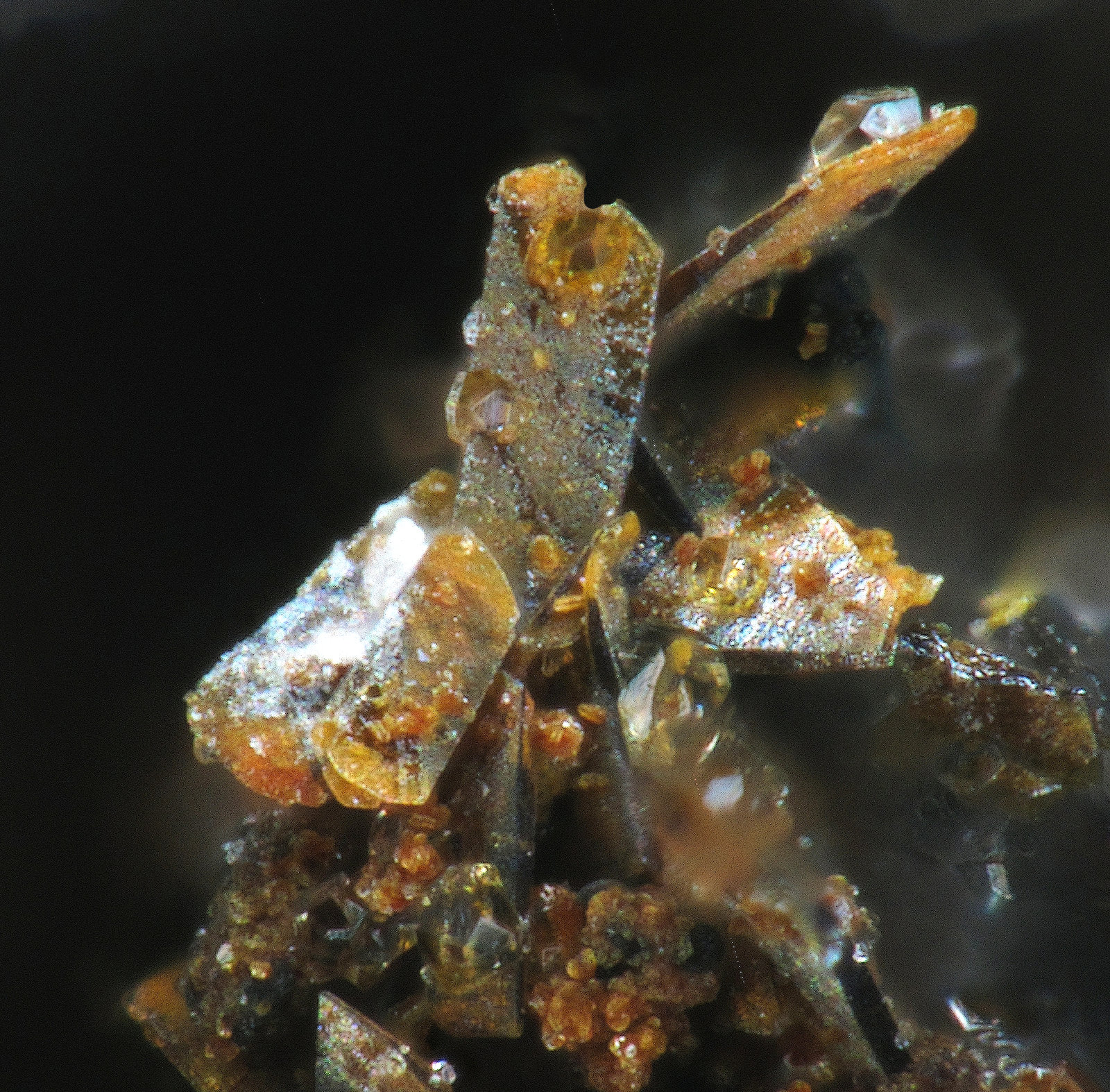 Neustädtelita
0.9mm
(Autor: yowanni)