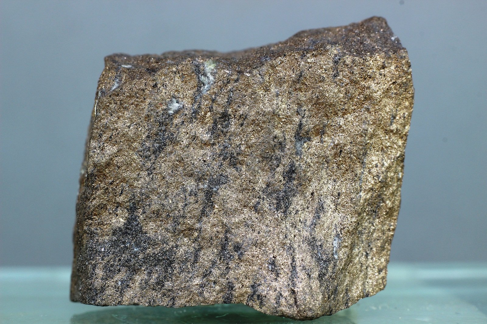 Niquelina
35x24 mm
(Autor: Juan Espino)