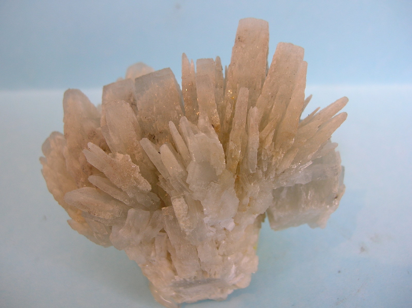 Baritina
7 x 6,5 cm.
(Autor: Pedro Conesa)