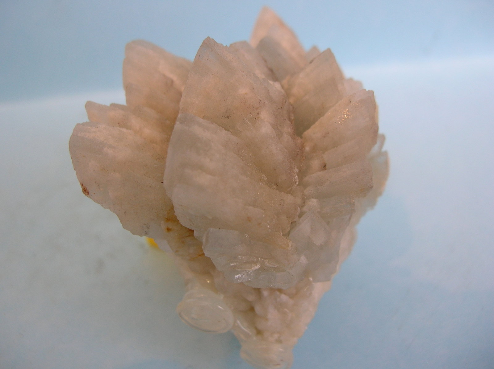 Baritina
7 x 6,5 cm.
(Autor: Pedro Conesa)