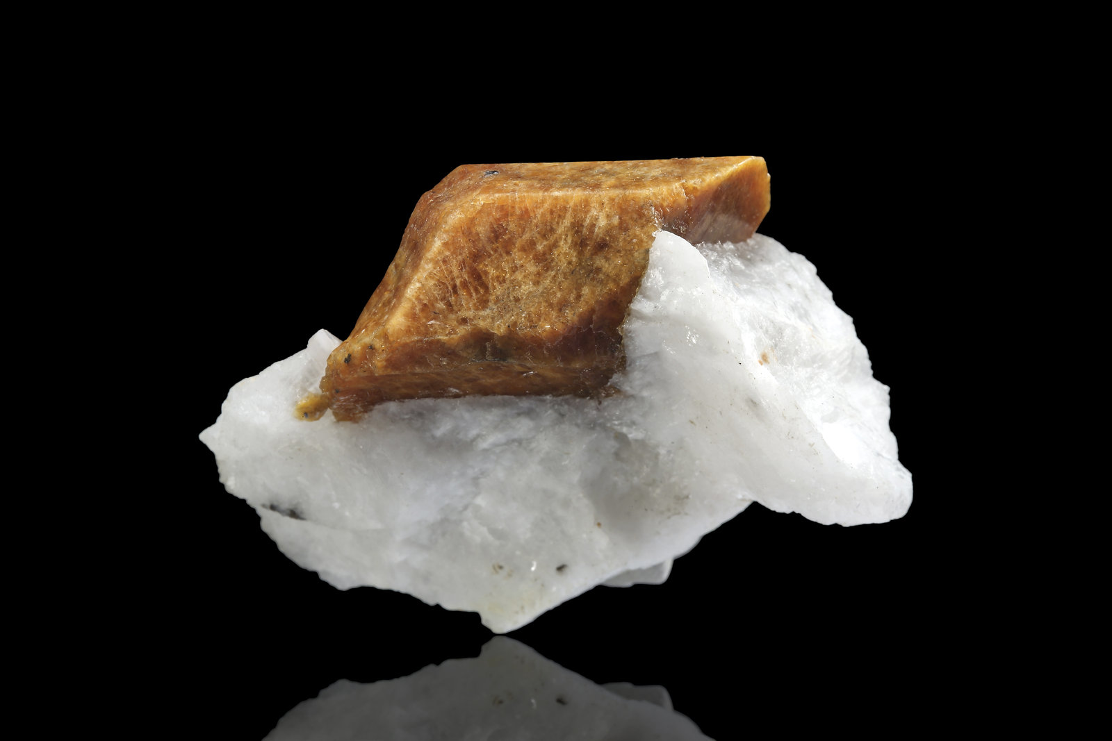 Norbergita
5 x 3.5 x 2.5 cm / Cristal principal: 3.3 cm.
(Autor: Museo MIM)