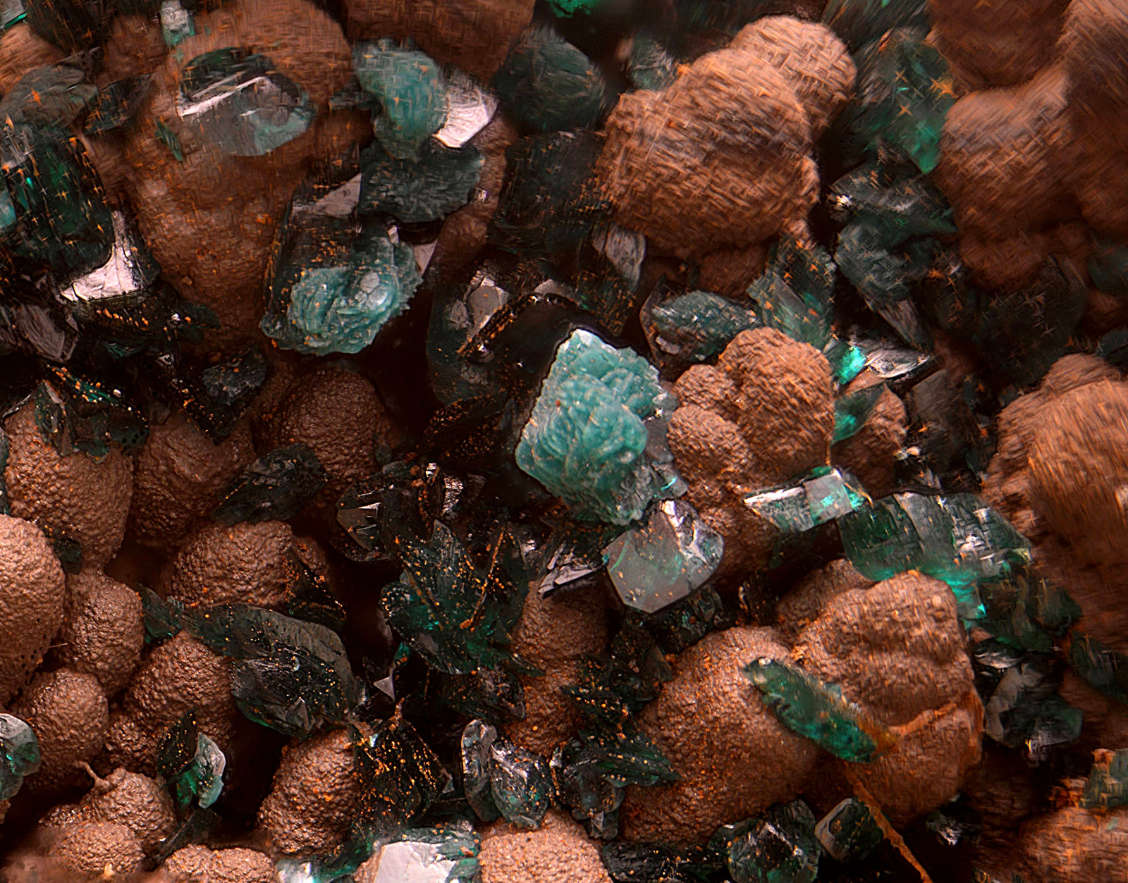 Reichenbachita y Pseudomalaquita.
Campo de visión de 3 mm.
(Autor: Antonio Carmona)