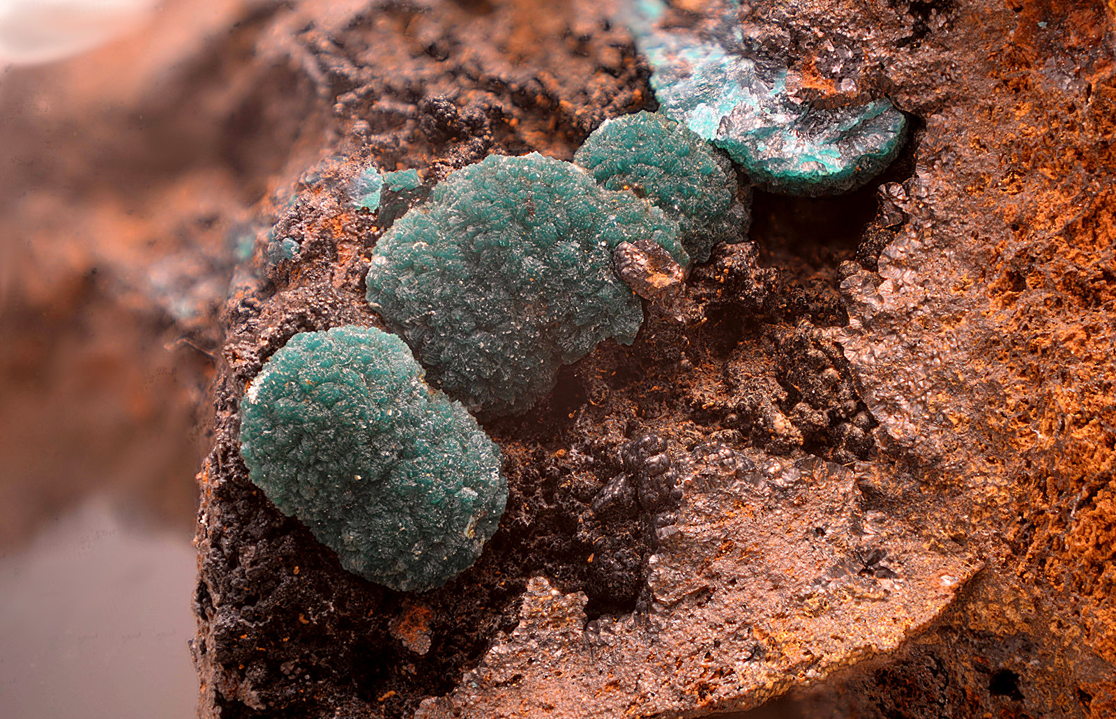 Reichenbachita
Campo de visión de 12 mm.
(Autor: Antonio Carmona)