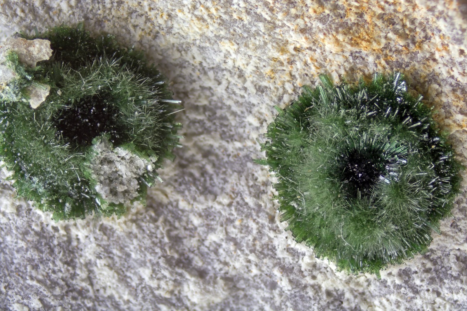 Olivenita
FOV 1.5 cm
(Autor: Cesar M. Salvan)
