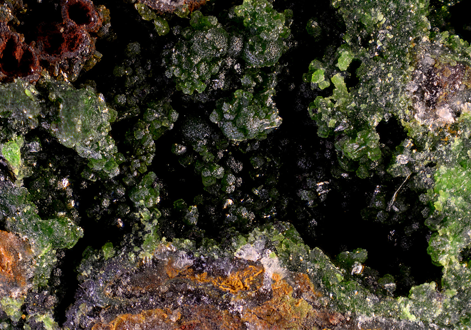 Olivenita
Campo de visión de 11 mm.
(Autor: Antonio Carmona)