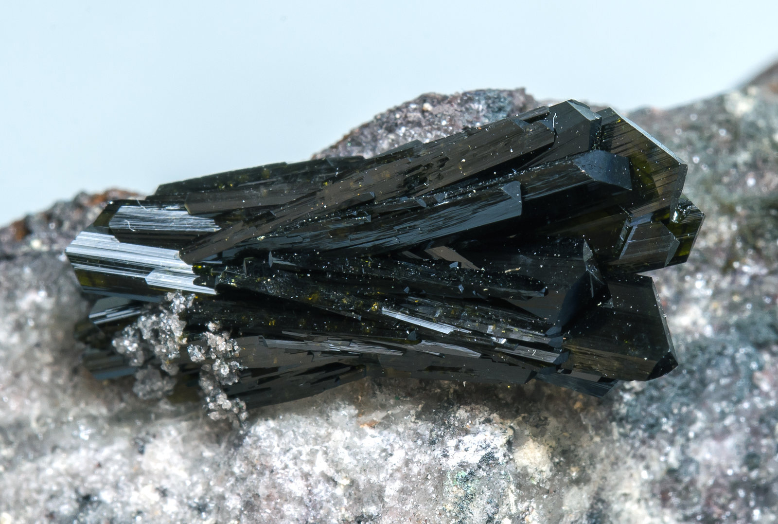 Olivenita con Cuarzo y Hydroniumjarosita
Mina Milpillas, nivel 992, Milpillas (Cuitaca), Municipio Santa Cruz, Sonora, México
cristal principal: 1.4 × 0.3 cm
(Autor: Jordi Fabre)