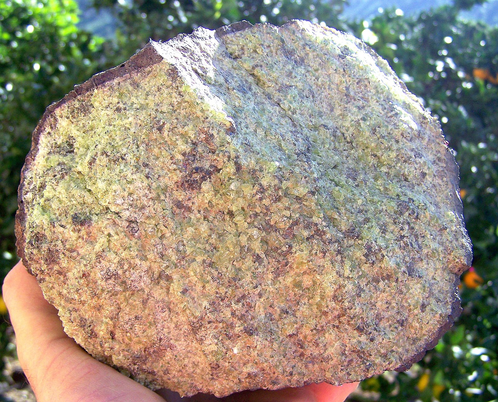 Olivino (Grupo)
20cm por 18cm
(Autor: canada)