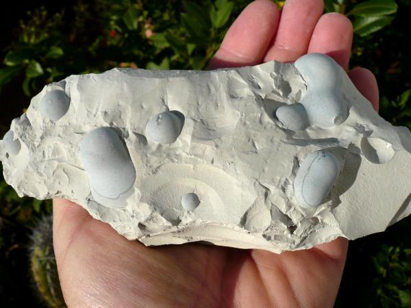 Ópalo (variedad menilito)
17x7 cm.
(Autor: nerofis2)