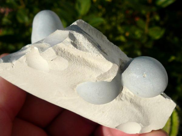 Ópalo (variedad menilito)
8x5cm.
(Autor: nerofis2)