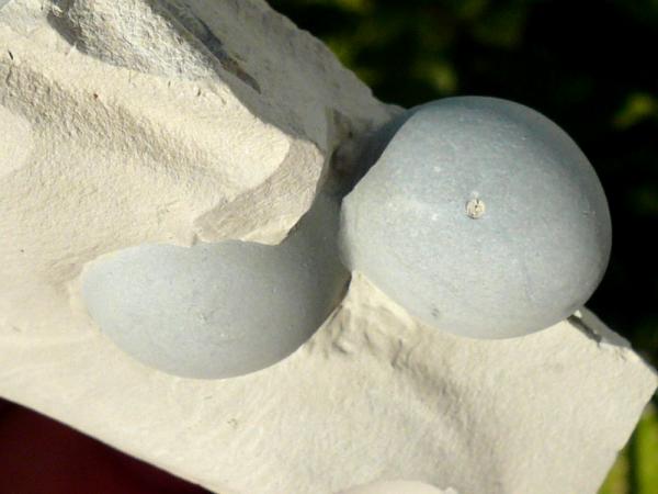 Ópalo (variedad menilito)
3,5cm.
(Autor: nerofis2)