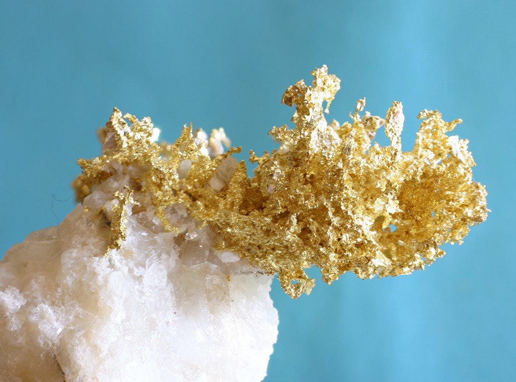 Oro
60 x 50 mm
(Autor: Ramon A  Lopez Garcia)