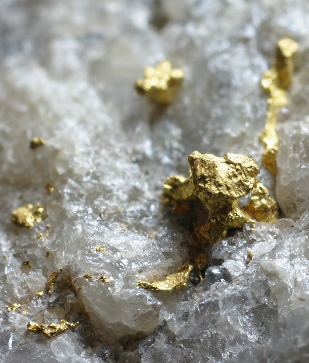 Oro
Enfoque 50 x 50 mm
(Autor: Ramon A  Lopez Garcia)