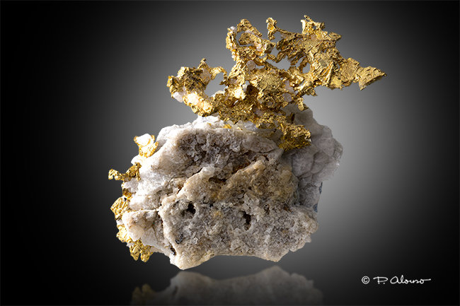 Oro
2cm x 3,5cm x 0,3cm
(Autor: Pere Alonso)