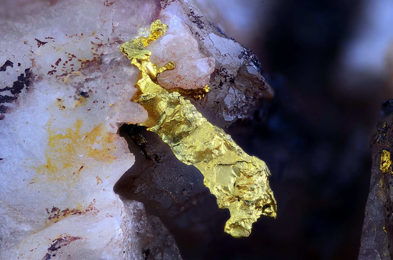 Oro
Campo de visión 4 mm
(Autor: Juan Miguel)