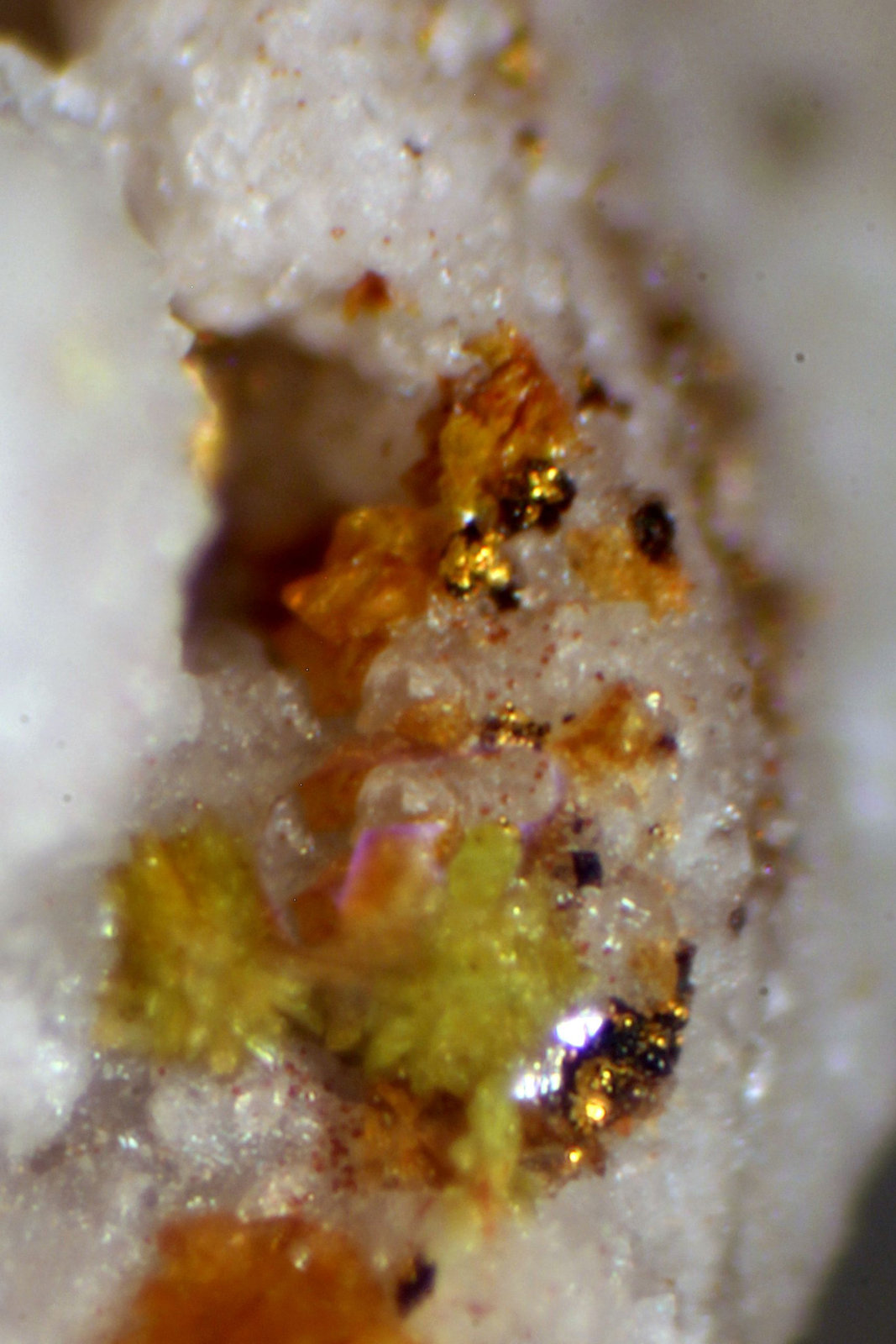 Oro
< 1 mm
(Autor: José Luis Zamora)