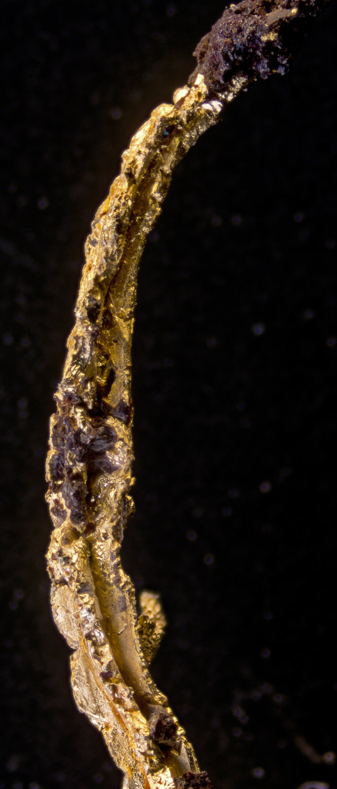 Oro
1 cm
(Autor: Cesar M. Salvan)