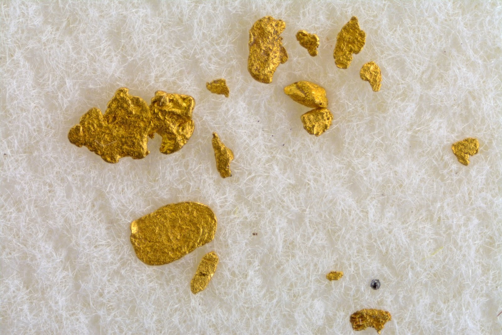 Oro
FOV 1.5 cm
(Autor: Cesar M. Salvan)