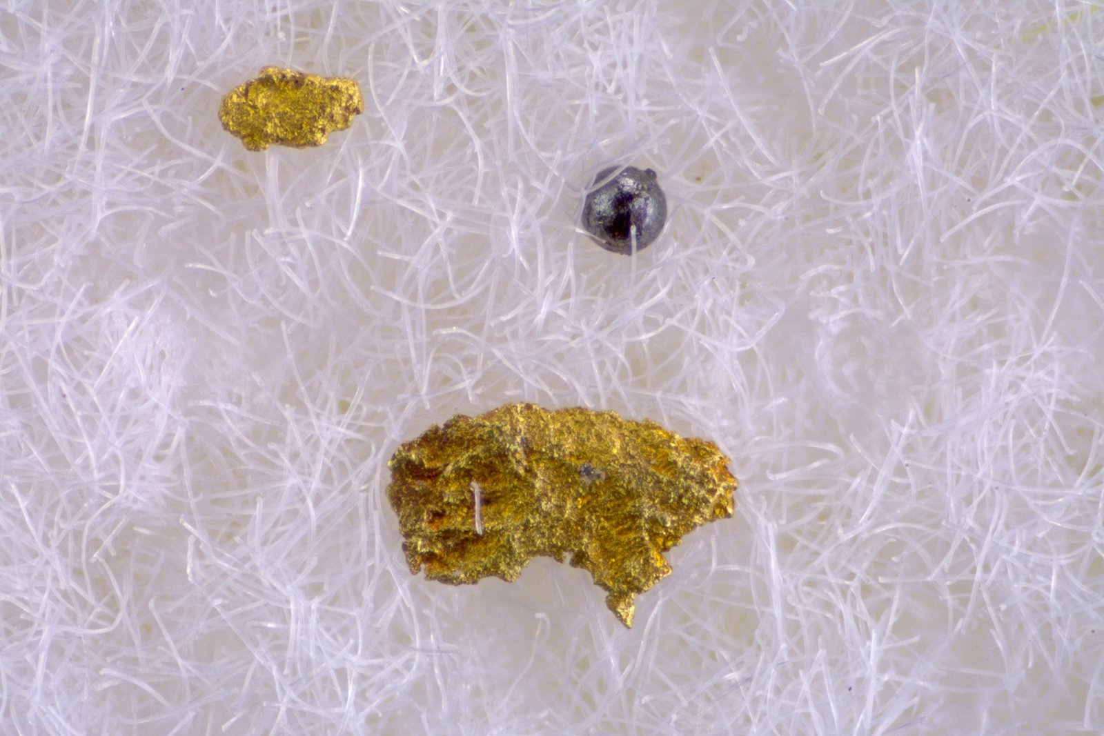 Oro
FOV 3 mm
(Autor: Cesar M. Salvan)