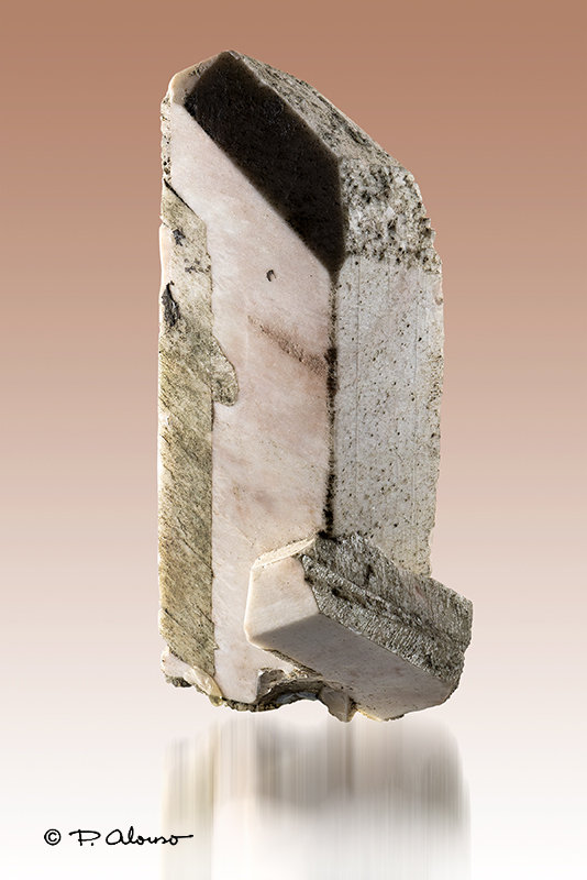 Ortoclasa
2,5cm x 5cm x 2cm
(Autor: Pere Alonso)