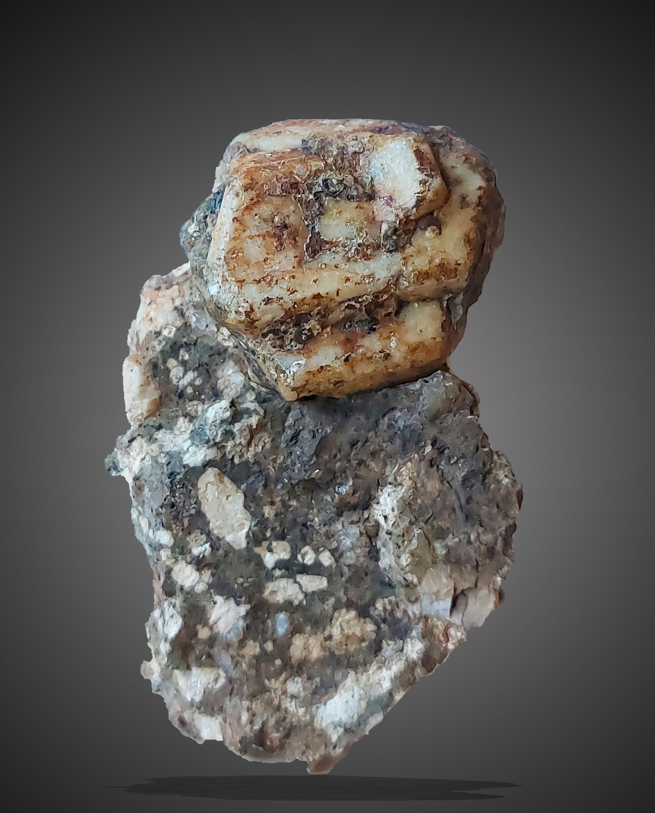 Ortoclasa
Cristal de 3,5cm x 3cm
(Autor: srm13151)