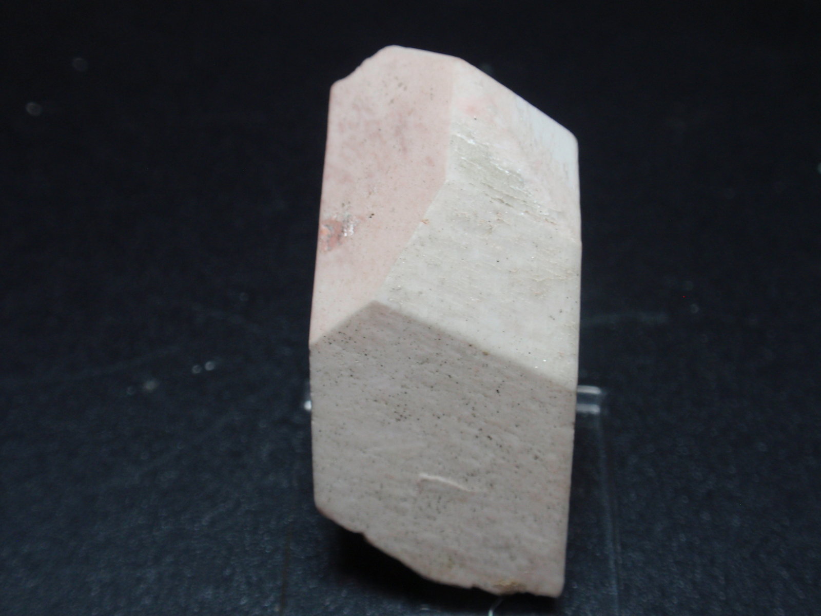 Ortoclasa
20x40 mm
(Autor: Ignacio)