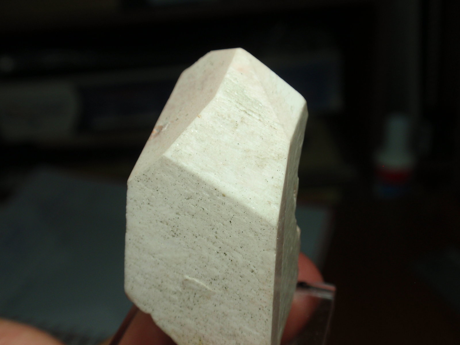 Ortoclasa
20x40 mm
(Autor: Ignacio)