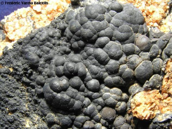 Criptomelana.
Tamaño de la pieza 9 x 7 x 6 cm.  Encuadre 5 x 3,5 cm.
(Autor: Frederic Varela)