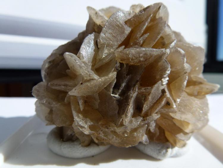 Yeso
5 x 4 cm.
(Autor: javier ruiz martin)