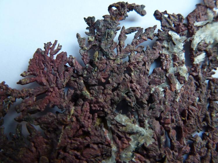 Cobre Nativo<br />Peninsula de Kewe