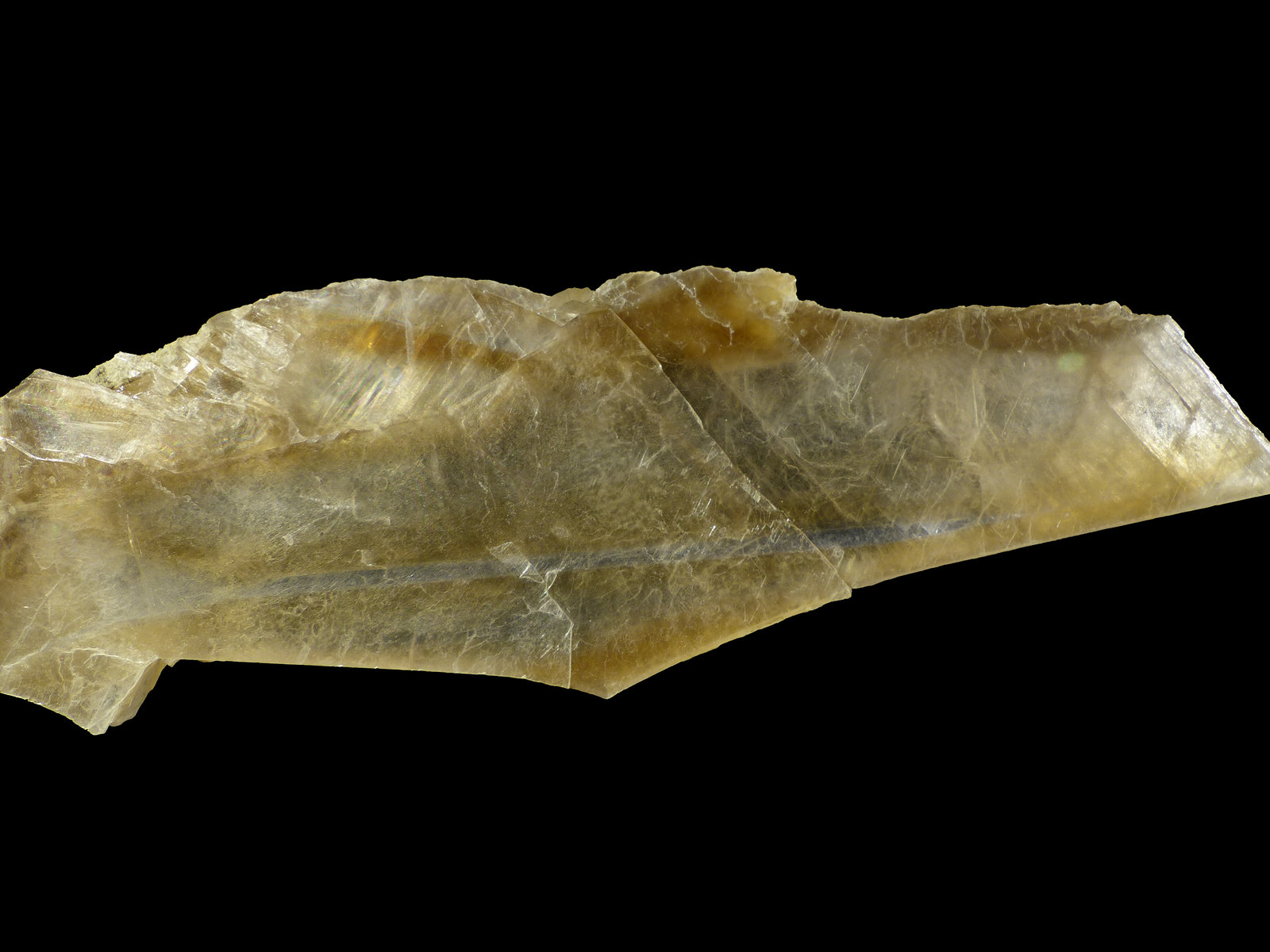 Yeso
16 x 4,5 x 1 cm
(Autor: Javier Rodriguez)