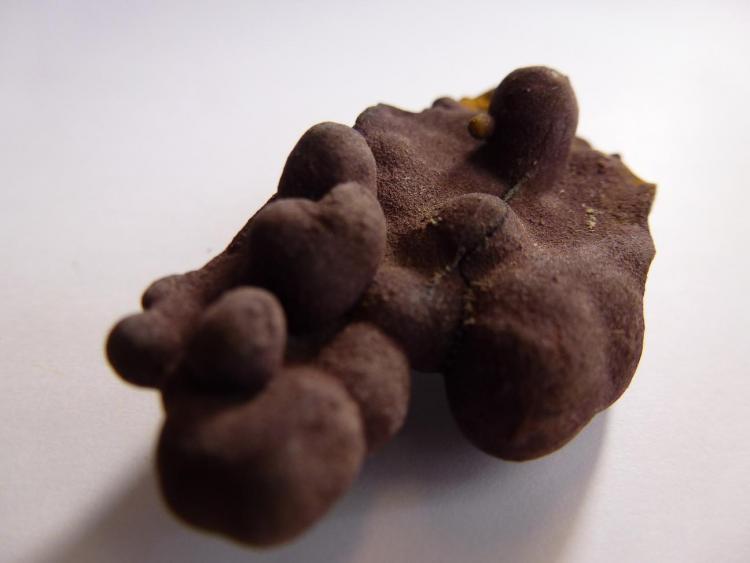 Limonita pseudomorfa de Pirita
4 x 3 cm.
(Autor: javier ruiz martin)