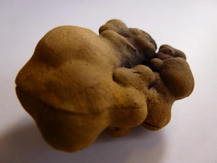 Limonita pseudomorfa de Pirita
4 x 4 cm.
(Autor: javier ruiz martin)