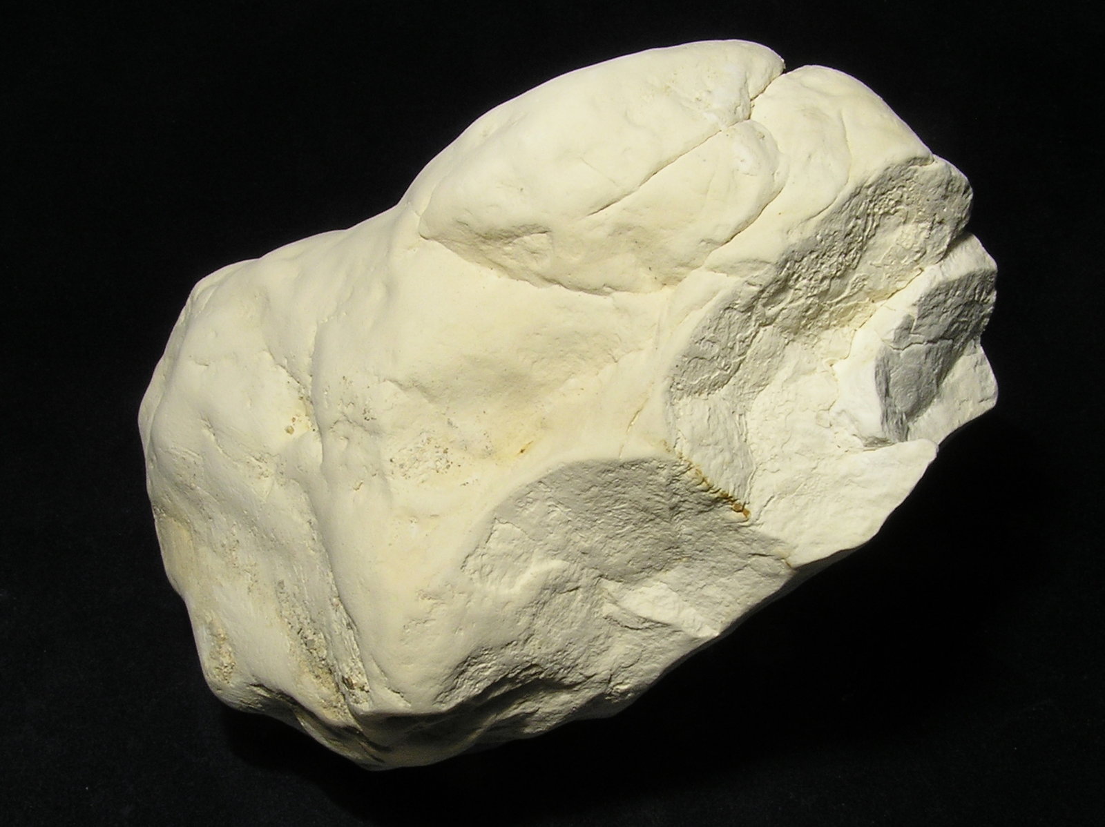 Creta
11 x 8 x 6 cm.
(Autor: Frederic Varela)