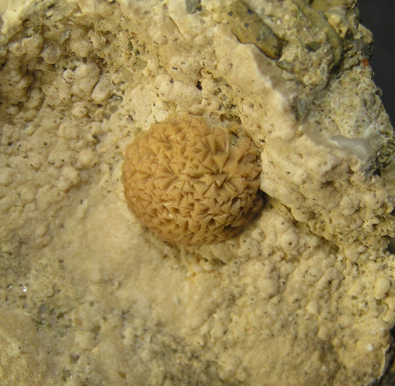 Calcita
1 x 1 cm (grupo de cristales)
(Autor: Frederic Varela)