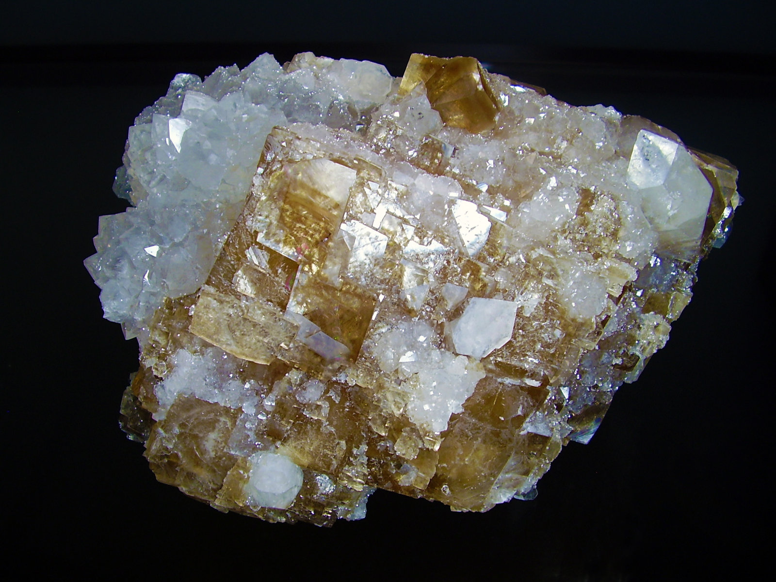 Calcita, Fluorapophyllita-(K) (apofilita)
13x10 cm
(Autor: geoalfon)