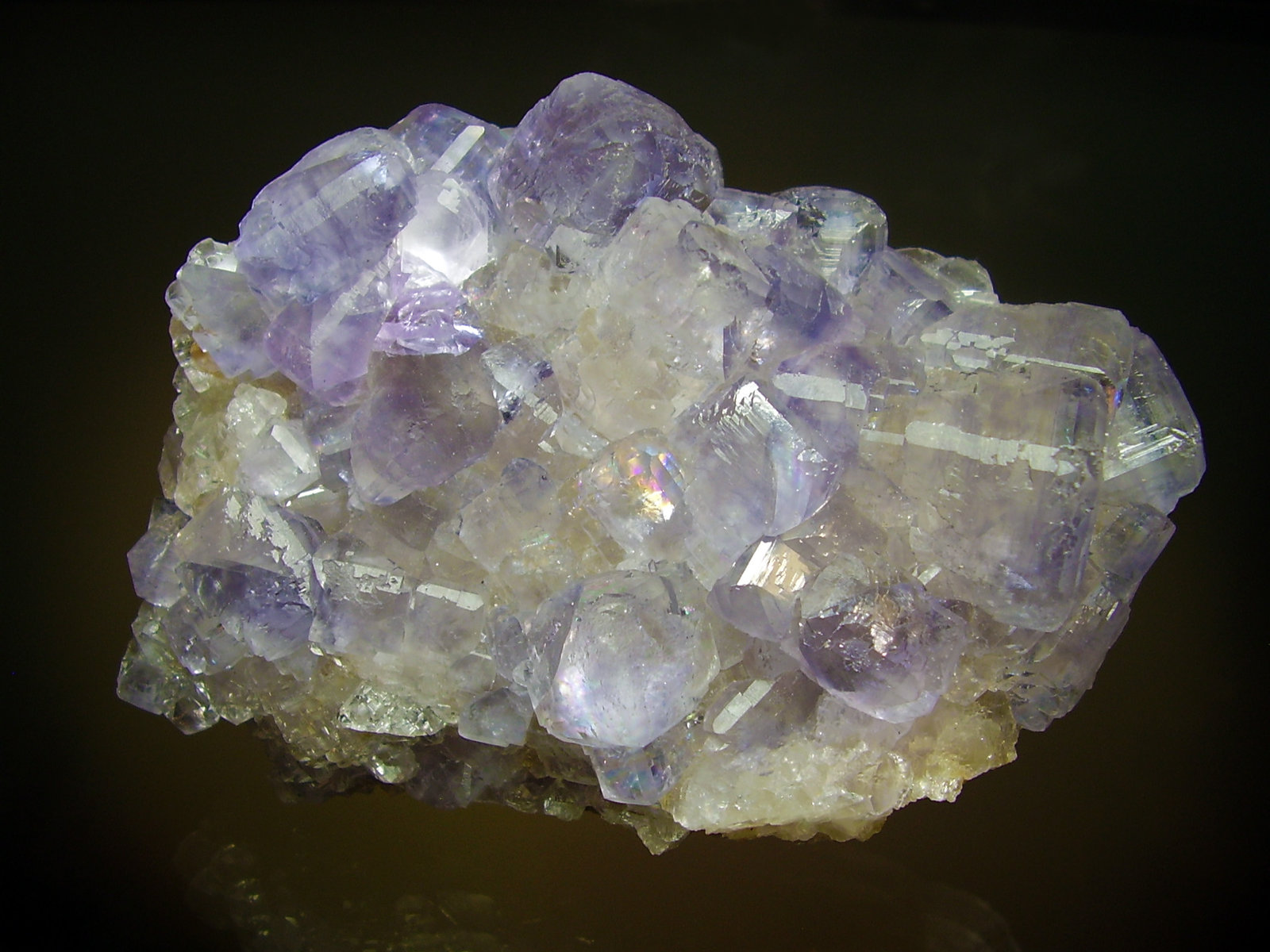 10x6 cm
(Autor: geoalfon)