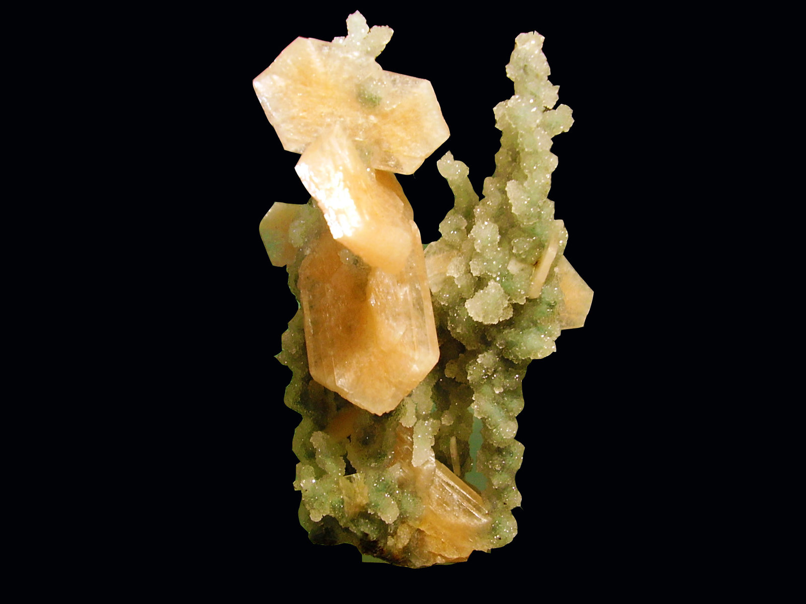 Stilbita-Ca (Estilbita-Ca), Cuarzo (variedad calcedonia)
10x6 cm
(Autor: geoalfon)