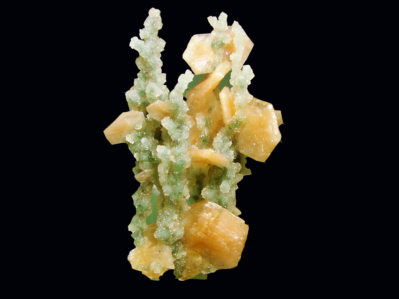 Stilbita-Ca (Estilbita-Ca), Cuarzo (variedad calcedonia)
10x6 cm
(Autor: geoalfon)