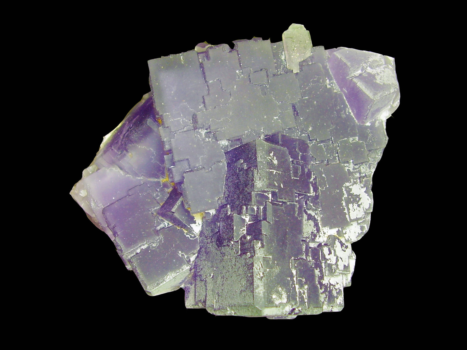 Fluorita
9x8 cm
(Autor: geoalfon)