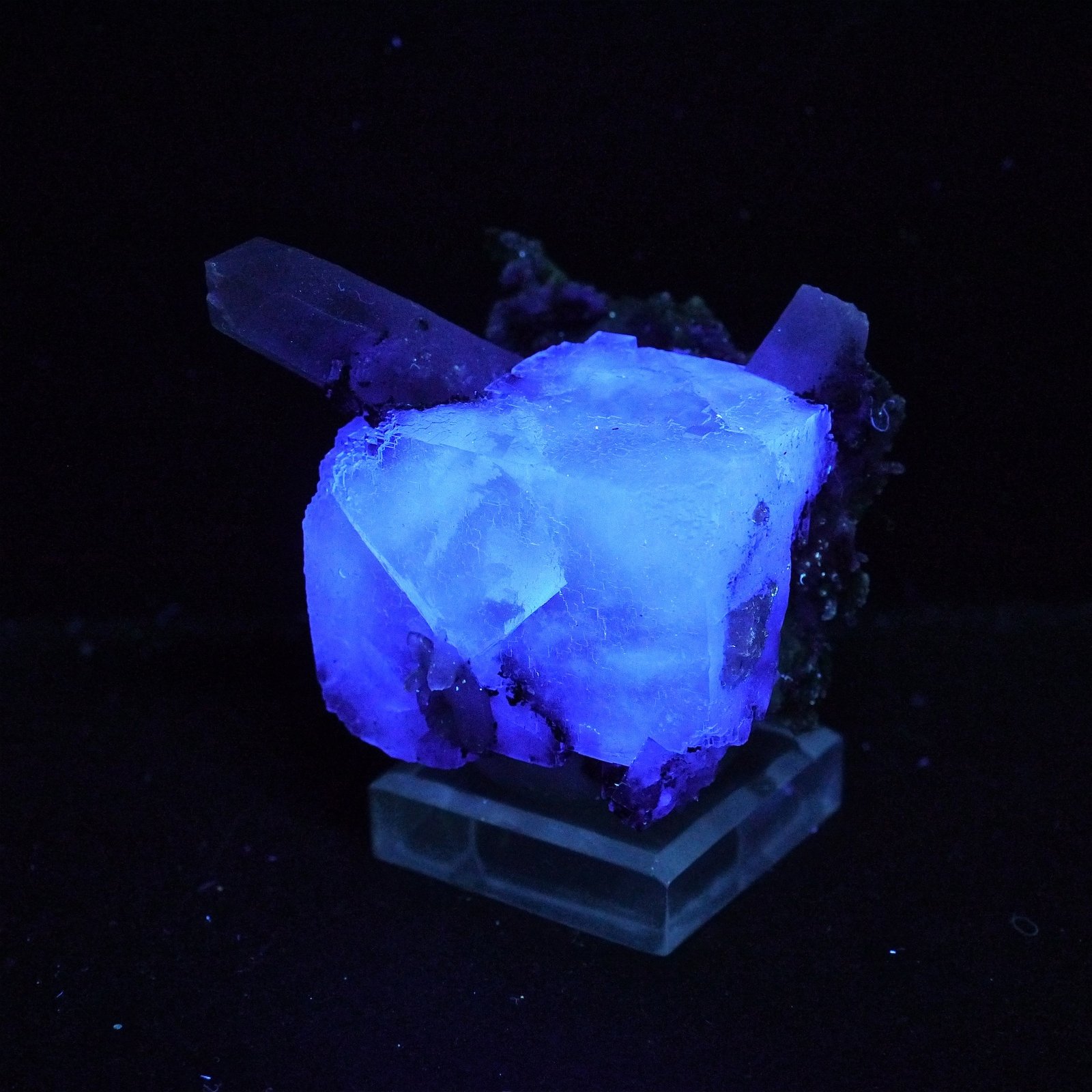 Fluorita y cuarzo
6 x 5 x 4.5 cm
(Autor: Josele)