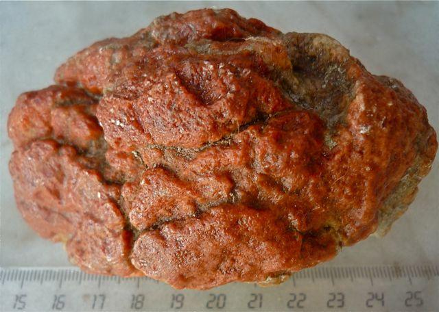 Yeso
11 cm.
(Autor: María Jesús M.)