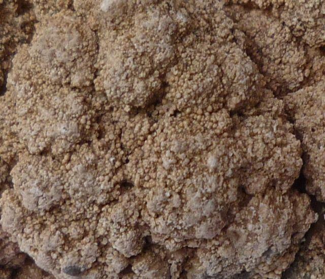 Dolomita
Ancho de imagen 4 cm.
(Autor: María Jesús M.)