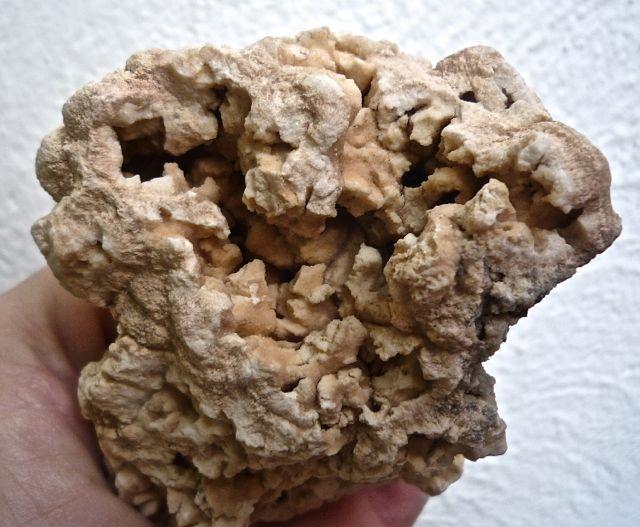 Dolomita
Ancho de imagen 12 cm.
(Autor: María Jesús M.)