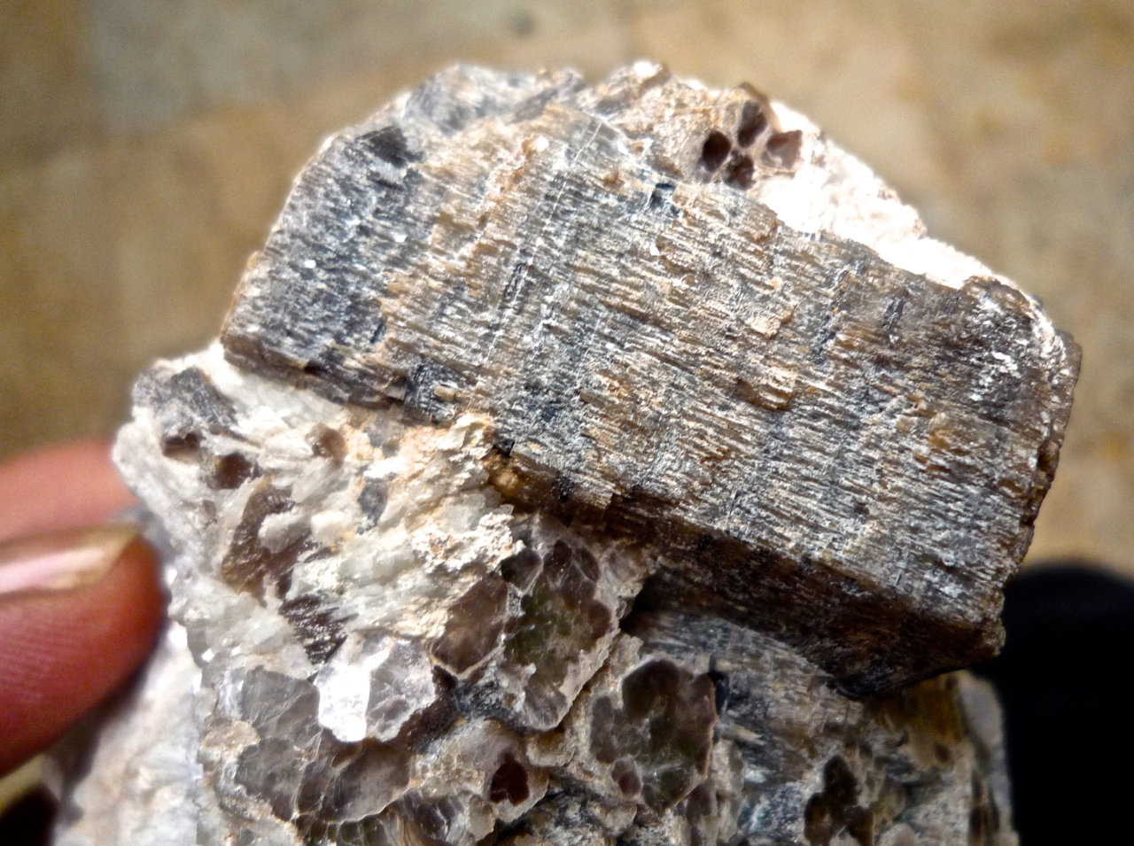 Lepidolita
Longitud del cristal de Lepidolita 5 cm
(Autor: María Jesús M.)