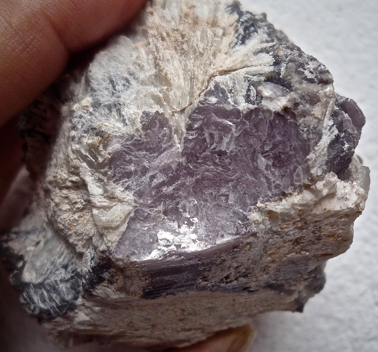 Lepidolita, Albita (variedad cleavelandita)
Ancho de imagen 5 cm
(Autor: María Jesús M.)