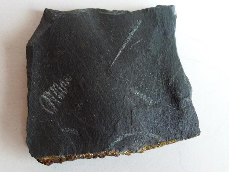 Pizarra con Graptolites
5 x 3 cm.
(Autor: javier ruiz martin)