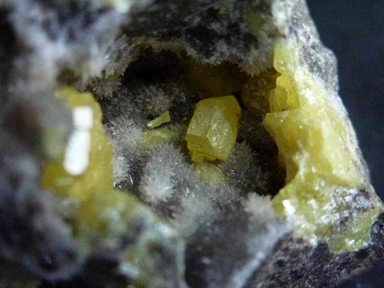 Azufre, Calcita
0,5 cm. el cristal mayor de Azufre
(Autor: javier ruiz martin)