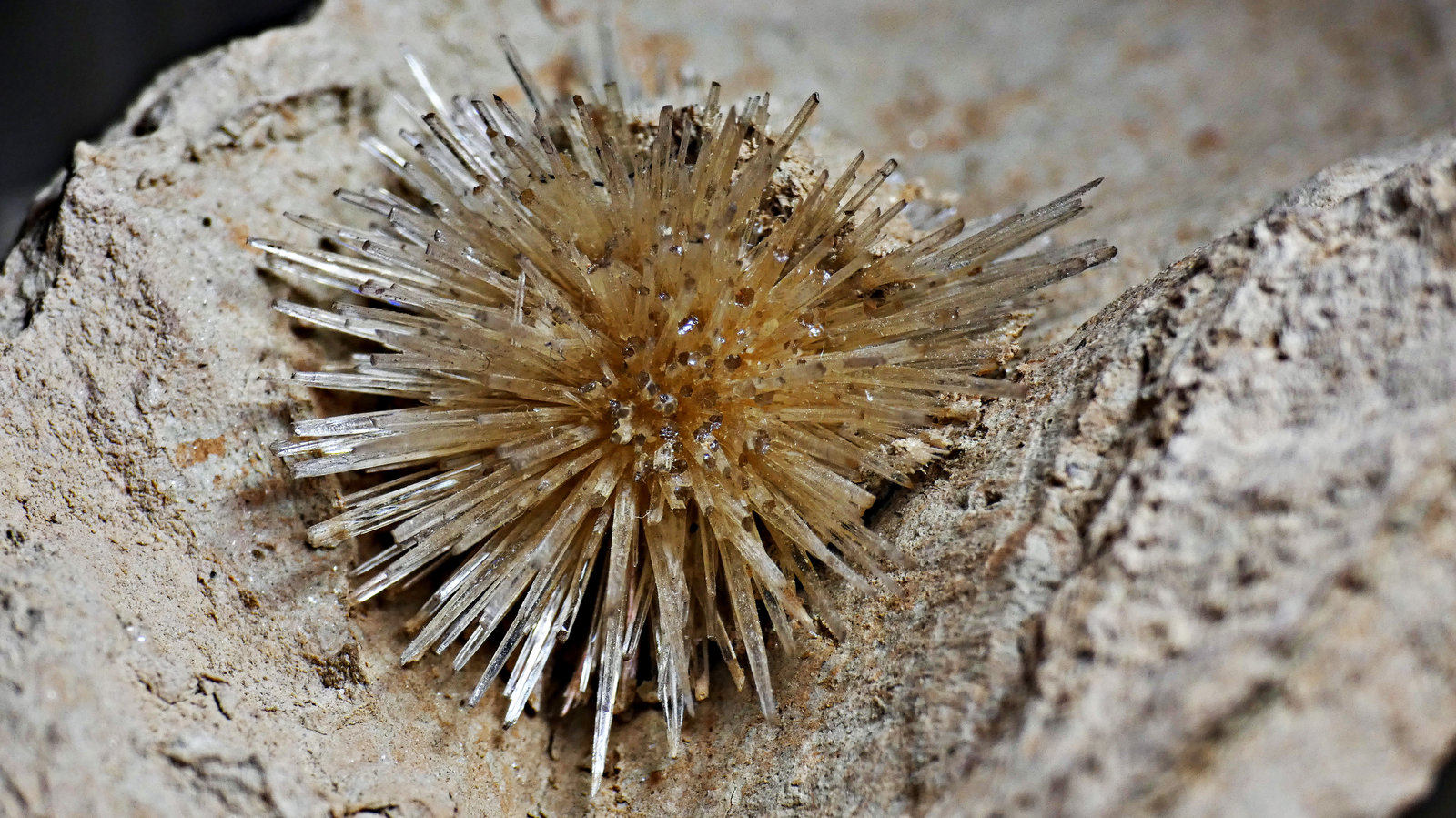 Aragonito
2,3cm
(Autor: DPC)